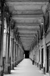 photo noir et blanc galerie du grand palais